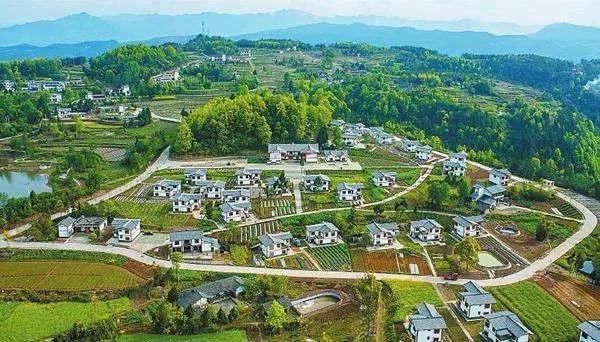 �쿴���Ĵ���ũ������һȺ��������ѧ����